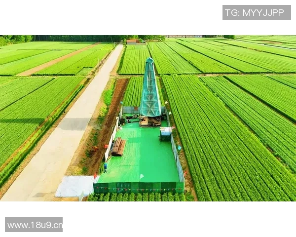 以生态保护为核心推动绿色发展探索与实践路径分析 以生态保护为核心推动绿色发展探索与实践路径分析